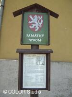 Památné lípy u kaple