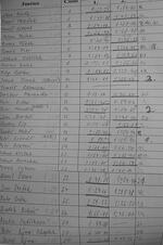 Hodslavice sjezd 2008