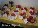 Výstava ovoce, zeleniny a květin